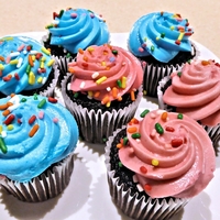 Free Website Template for Restaurants by Free-Template.co